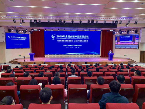 廣西創新一站式國際化服務，助力糖業加速融入全球產業鏈